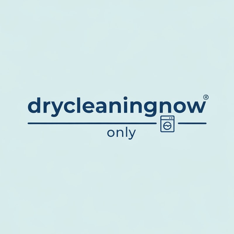 drycleaningnow LOGO with washingmachine icone only icone