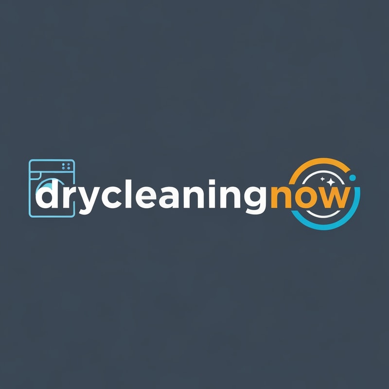 drycleaningnow LOGO with washingmachine icone