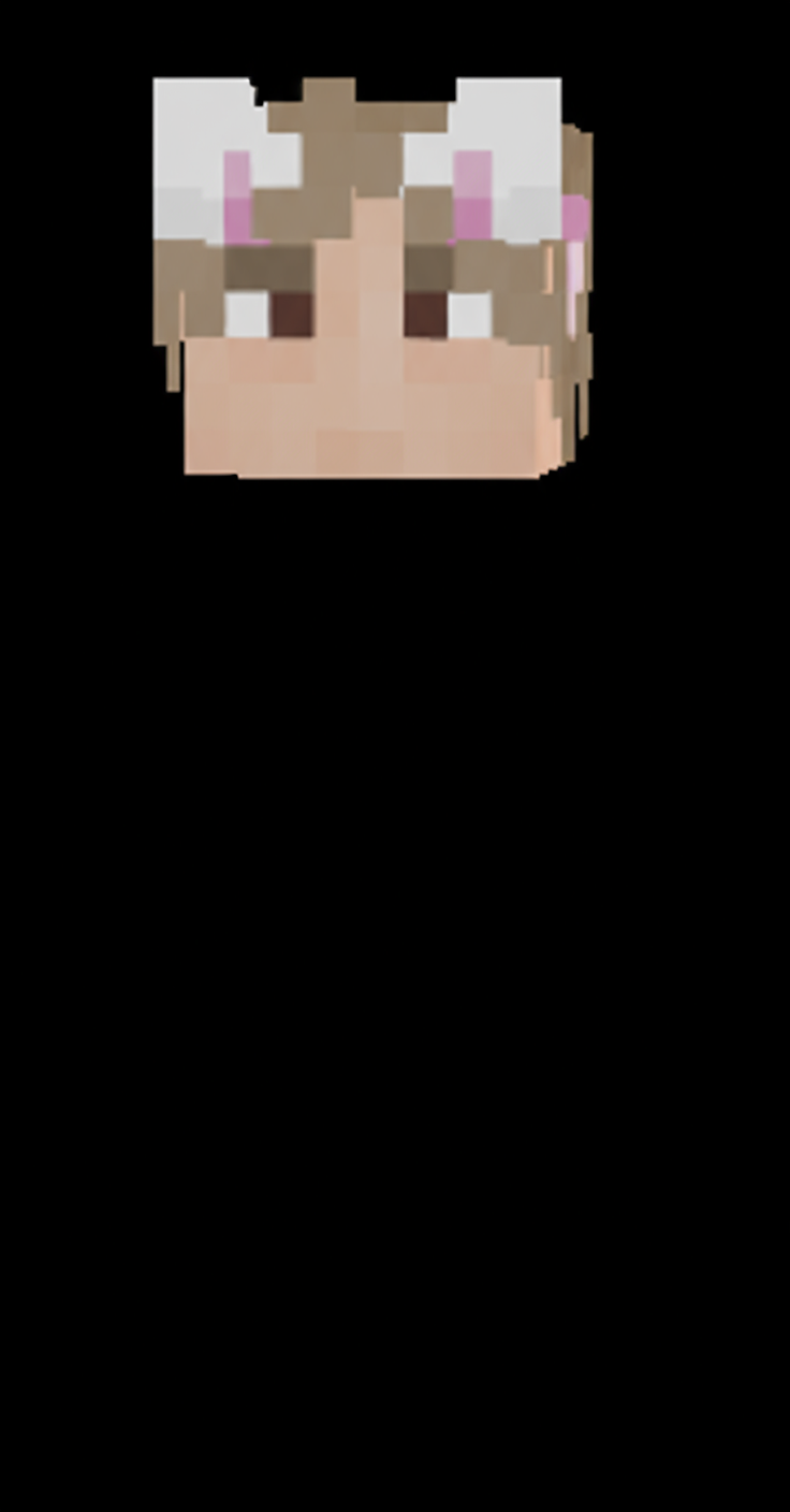 please remove the body from this skin, only keeping the head