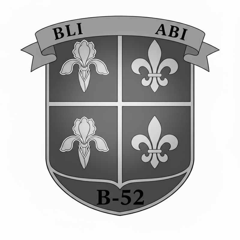Faire le logo sans couleur. Augmenter l'espace pour le B-52. Réduire l'espace du haut pour faire plus d'espace pour le bas