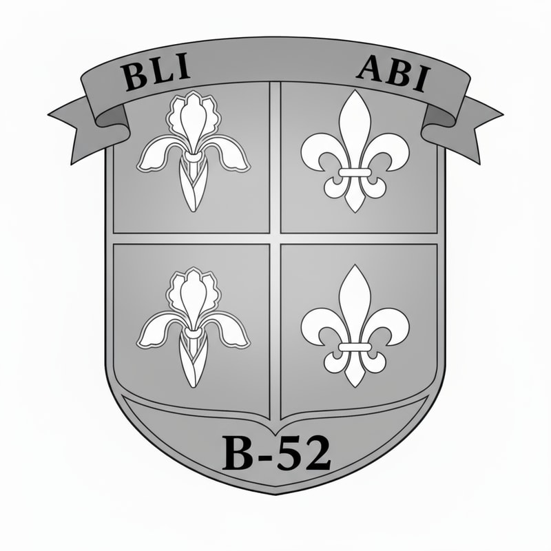 Faire le logo sans couleur. Augmenter l'espace pour le B-52. Réduire l'espace du haut pour faire plus d'espace pour le bas. Mettre plutôt les fleurs de lys et les fleurs de brusselles en diagonale l'une de l'autre