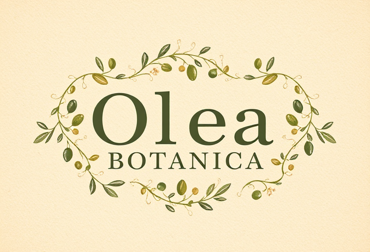 Professional logo design. Create a poetic and elegant logo for a handmade olive oil soap brand inspired by nature and traditional artistry.
The brand name is “Olea Botanica”.
The design should reflect a Jacobean floral motif — intricate botanical embroidery with olive branches, small blossoms, and subtle vintage textures.
The color palette should include deep olive green, warm beige, muted gold, and ivory.
The typography should be classic, serif, and slightly calligraphic, evoking timelessness and artisanal care.
The layout should feel balanced, delicate, and refined, as if belonging to an old apothecary or botanical atelier.
Background should be textured parchment or soft linen tone.
The overall feeling: heritage, nature, poetry, and quiet luxury.

Keywords:
Jacobean floral, vintage botanical logo, olive blossom, artisanal soap branding, natural skincare, poetic design, elegant typography, timeless beauty, classic packaging aesthetic, botanical illustration.