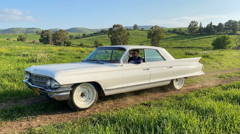 make him drive in a green pasturak bacjground