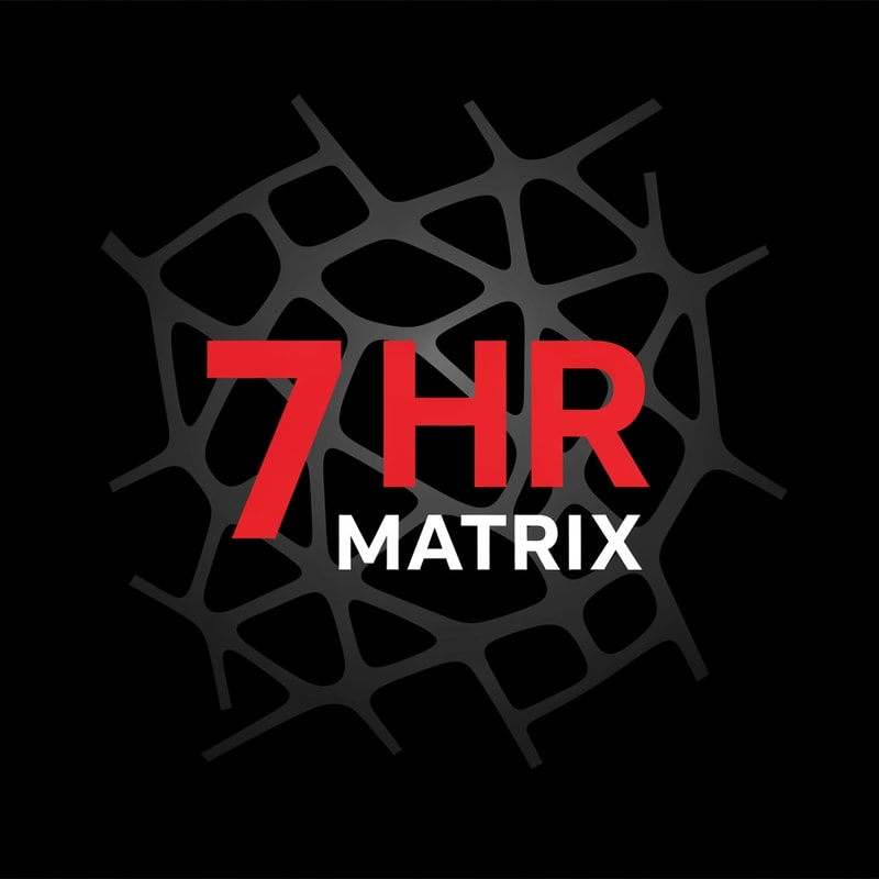 my logo name is 7 hr matrix for hrms project with red , black, white theme