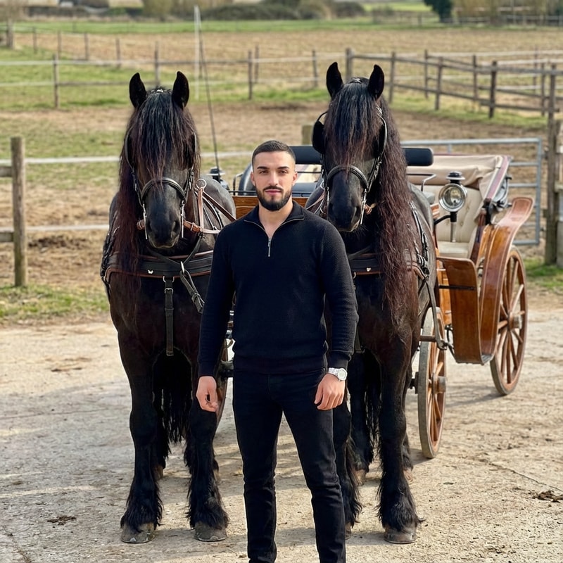 Szerkeszd meg ezt a képet úgy hogy 1 freez lovak mellet á előtt álok hintóval.