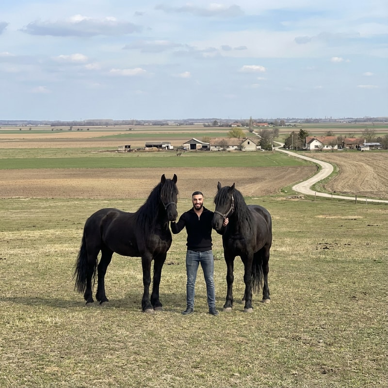 Szerkeszd meg ezt a képet úgy hogy állok 2 freez ló mellet Magyország- Komádi városában sokkal távolabbról legyen fotózva