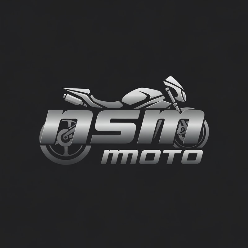 Professional logo design. with nss moto