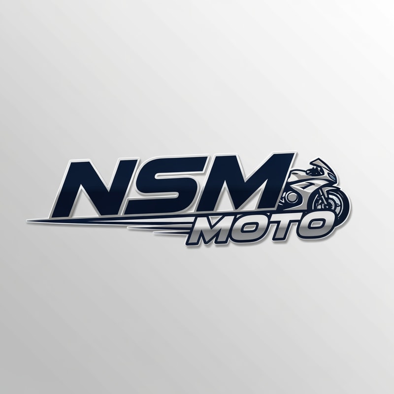 Professional logo design. with nss moto