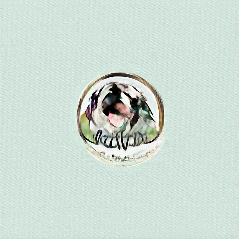 Professional logo design. dog